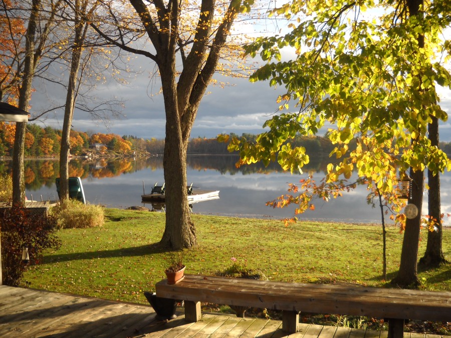 Morrison Lake Muskoka Real Estate Services