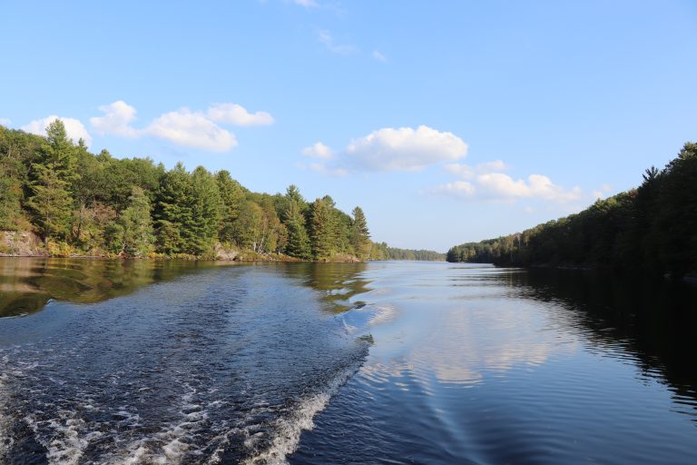 Nine Mile Lake Muskoka Real Estate Services